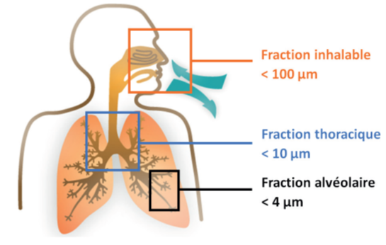 poussières voies respiratoires VLEP